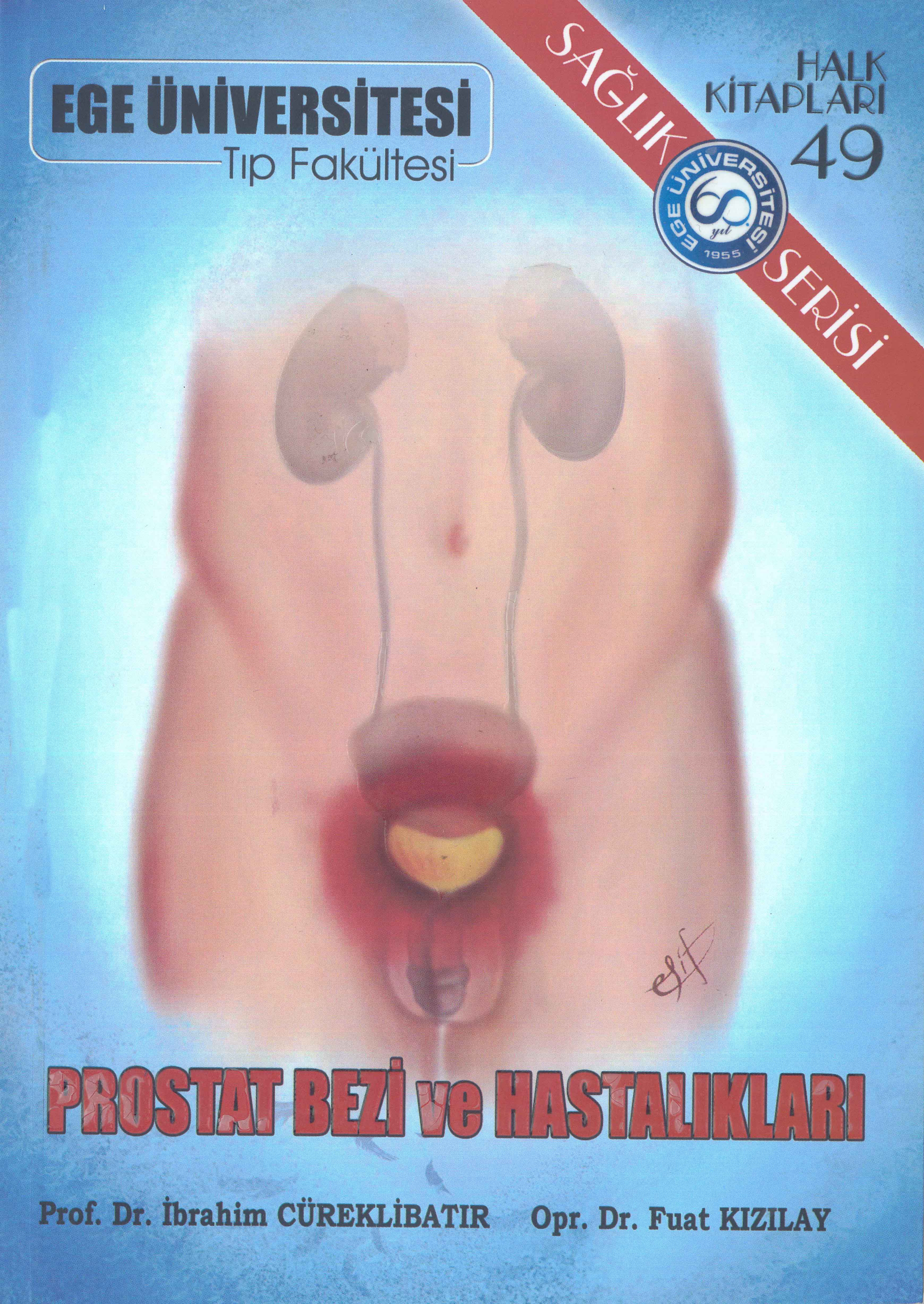 Prostat Bezi ve Hastalıkları