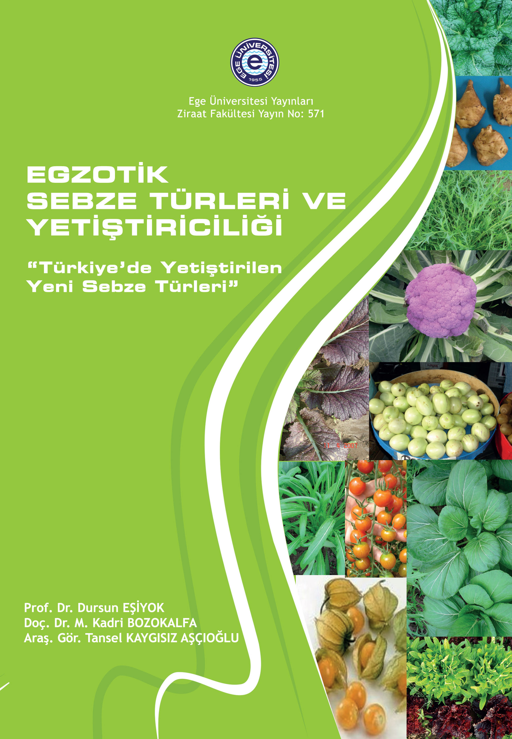 Egzotik Sebze Türleri ve Yetiştiriciliği (Türkiyede Yetiştirilen Yeni Sebze Türleri)
