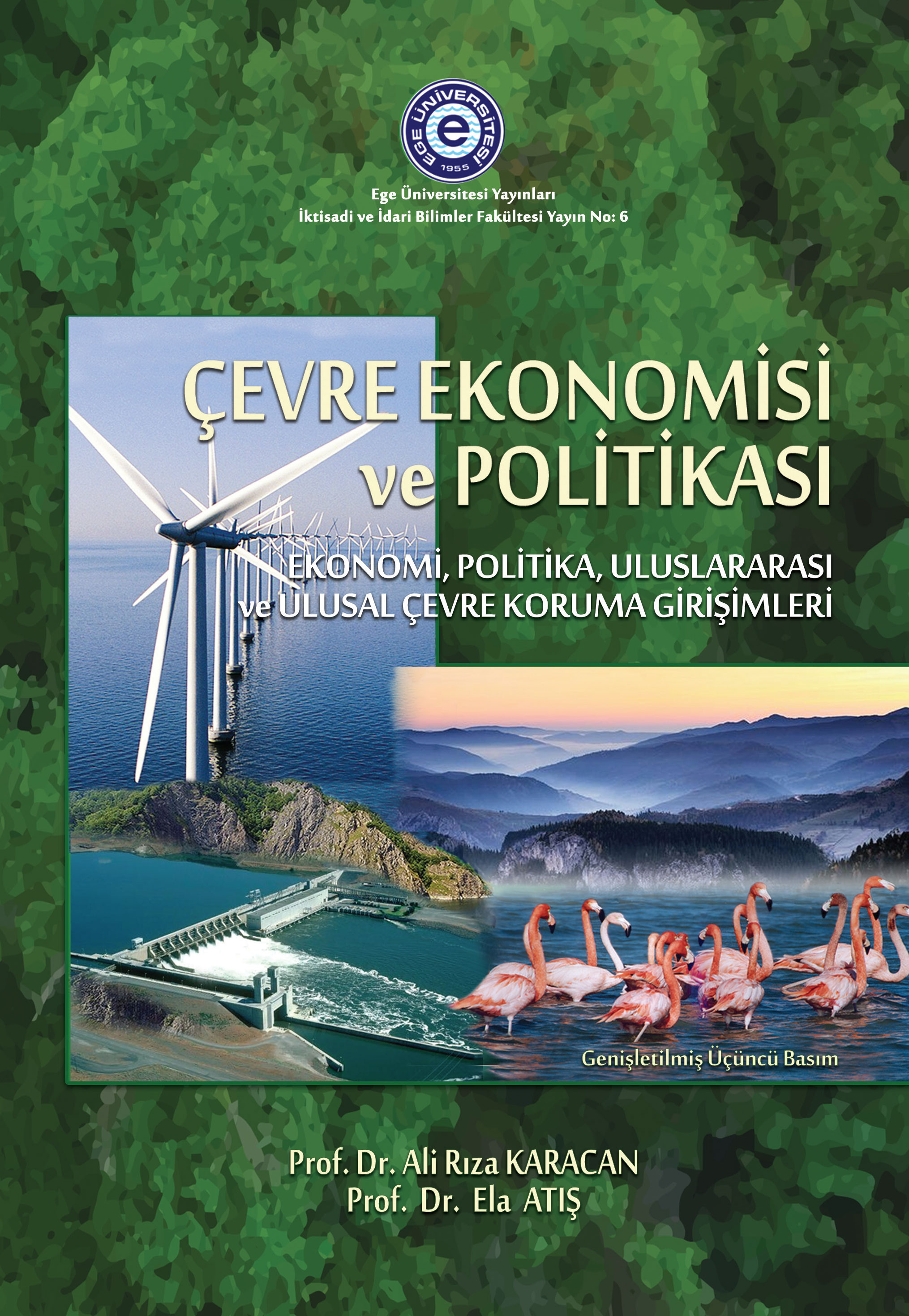 Çevre Ekonomisi ve Politikası-Ekonomi, Politika, Uluslararası ve Ulusal Çevre Koruma Girişimleri 