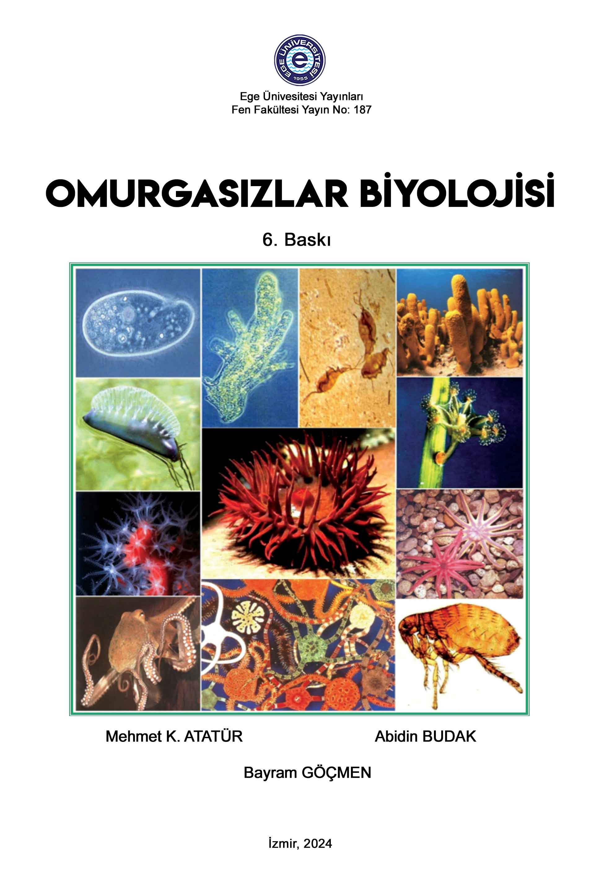 Omurgasızlar Biyolojisi 